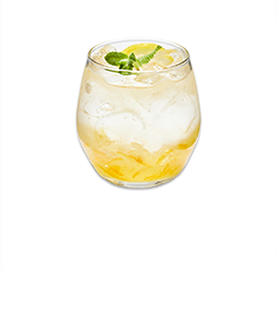 �۽�Ʈ ���̵��� ���� ������ ������ ����